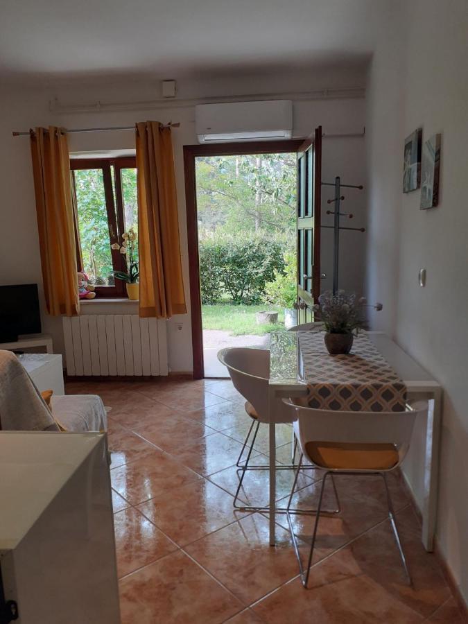 Dani Appartement Drazice